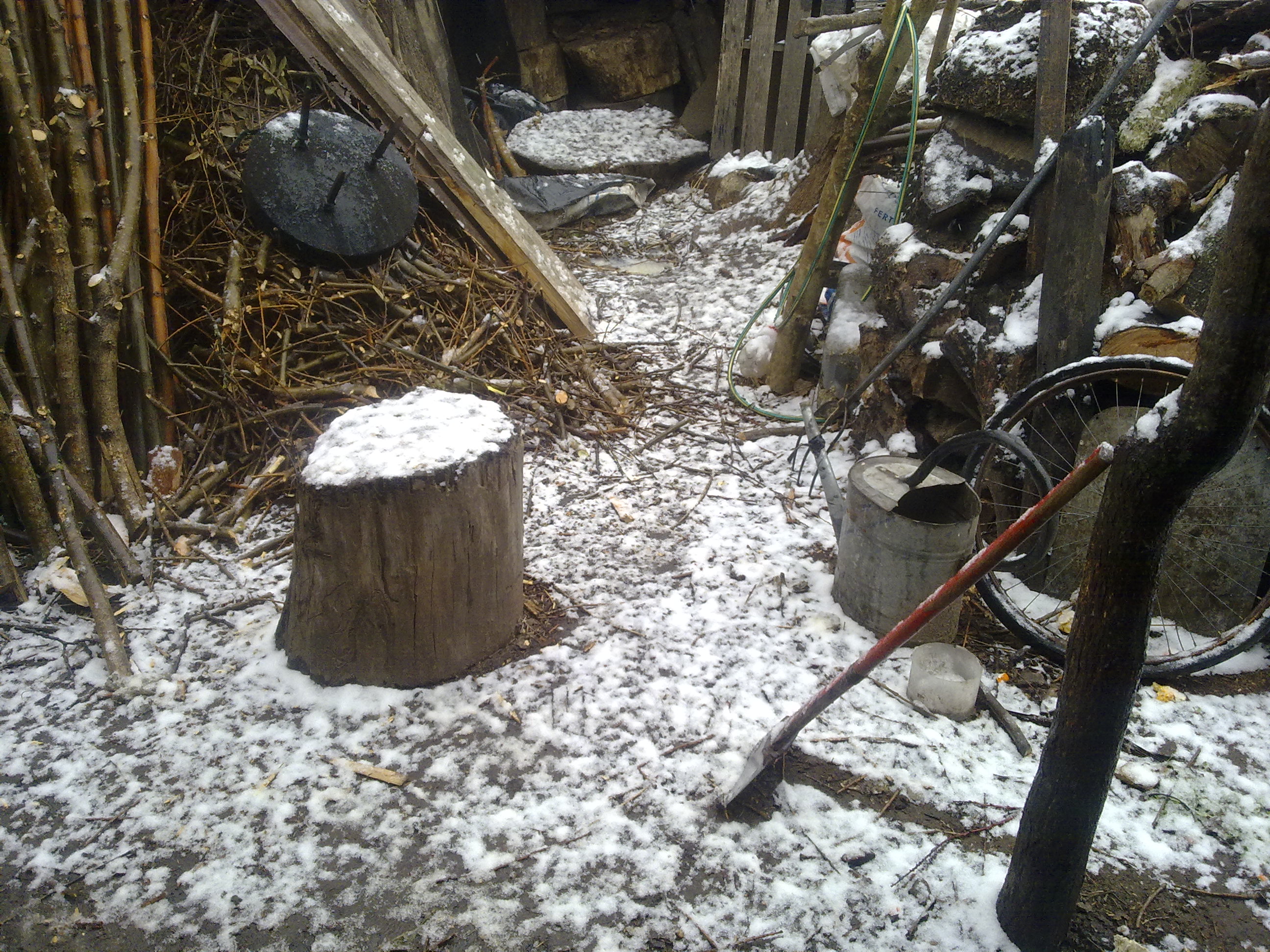 fotos/2010-07-18 - Nevada  y carneada/18072010514.jpg